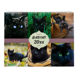 Calendrier Chats noirs