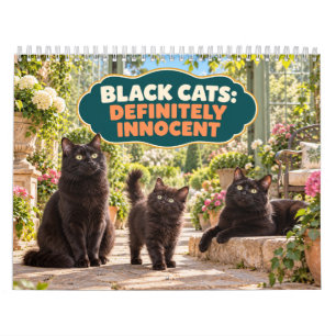 Calendrier Chats noirs drôles définitivement innocents