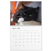 Calendrier Chats noirs et blancs et chatons Kitty Cat 2020 (Mar 2026)