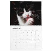 Calendrier Chats noirs et blancs et chatons Kitty Cat 2020 (Feb 2027)