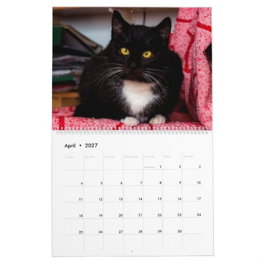 Calendrier Chats noirs et blancs et chatons Kitty Cat 2020 (Apr 2027)