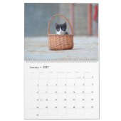 Calendrier Chats noirs et blancs et chatons Kitty Cat 2020 (Jan 2027)