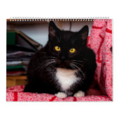 Calendrier Chats noirs et blancs et chatons Kitty Cat 2020 (Protection)