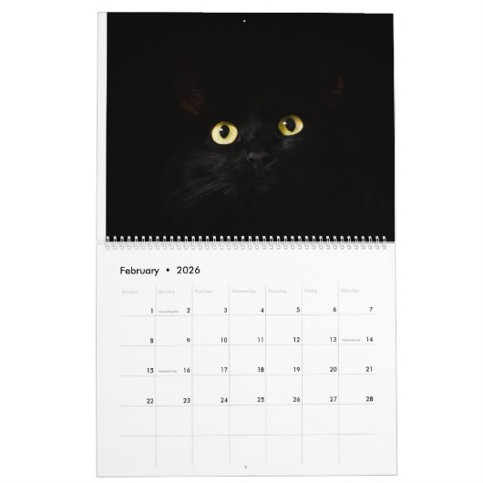 Calendrier chats noirs mignons (Feb 2026)