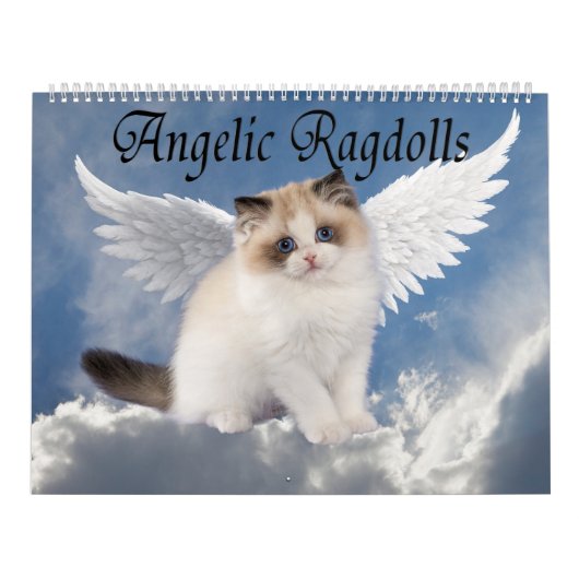 Calendrier Chats Ragdoll Angéliques (Protection)
