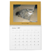 Calendrier Chats Tabby (Jan 2027)