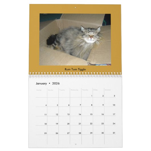 Calendrier Chats Tabby (Jan 2026)