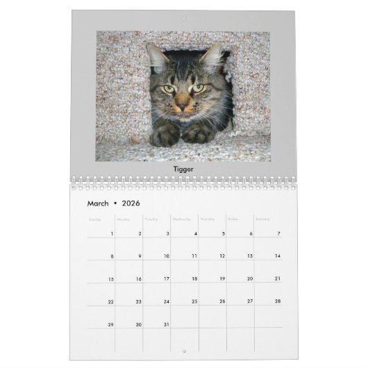 Calendrier Chats Tabby (Mar 2026)