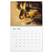 Calendrier Chats tirés à la main Felines sauvages et domestiq (Mar 2026)
