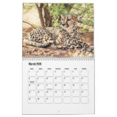 Calendrier Cheetah (Mar 2026)