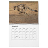 Calendrier Cheetah (Feb 2026)