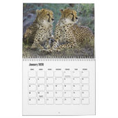 Calendrier Cheetah (Jan 2026)