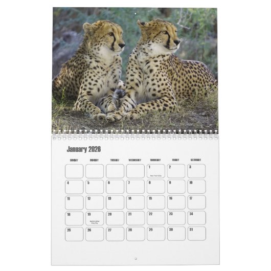 Calendrier Cheetah (Jan 2026)