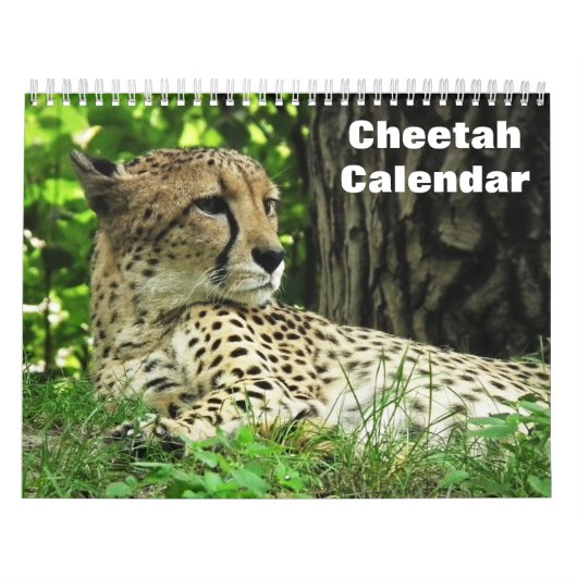 Calendrier Cheetah 2025 (Protection)