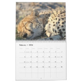 Calendrier Cheetah 2025 (Feb 2026)
