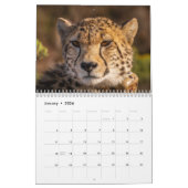 Calendrier Cheetah 2025 (Jan 2026)