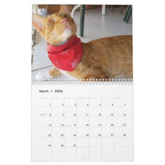 Calendrier Cheeto Dacutecat 2020 (Mar 2026)