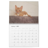 Calendrier Cheeto Dacutecat 2020 (Jan 2027)