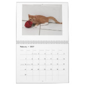 Calendrier Cheeto Dacutecat 2020 (Feb 2027)
