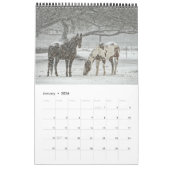Calendrier Cheval 2017 (Jan 2026)