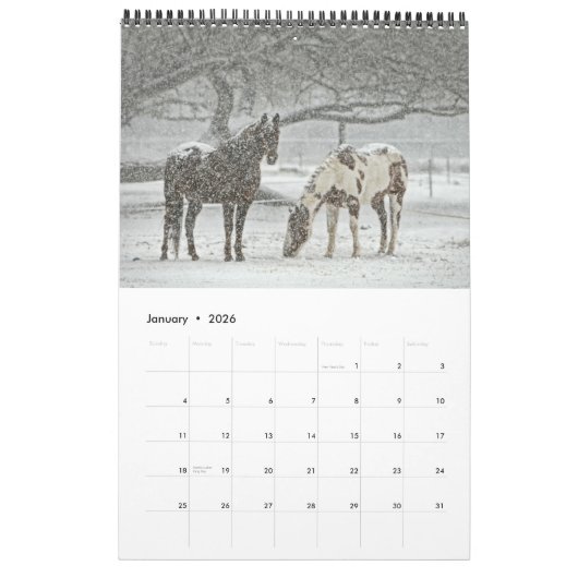 Calendrier Cheval 2017 (Jan 2026)