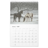 Calendrier Cheval 2017 (Jan 2027)