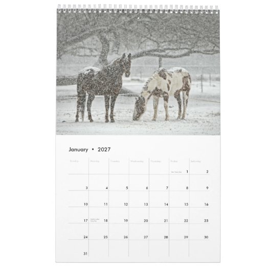 Calendrier Cheval 2017 (Jan 2027)