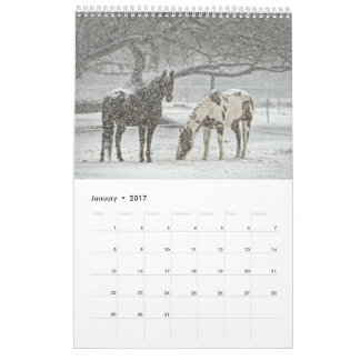 Calendrier Cheval 2017