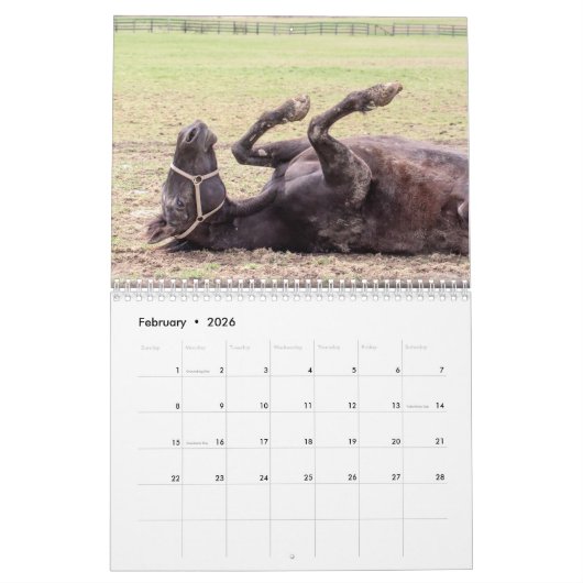 Calendrier Cheval 2026 (Feb 2026)