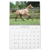Calendrier Cheval Akhal-Teke 2 (Jan 2027)