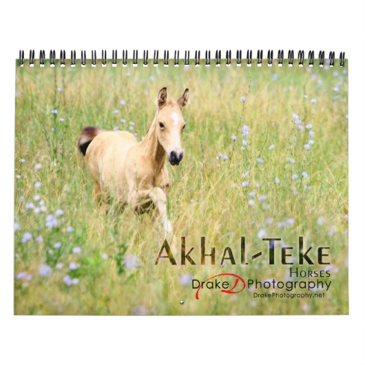 Calendrier Cheval Akhal-Teke 2 (Protection)