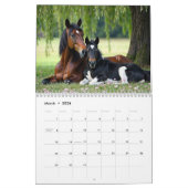 Calendrier Cheval Élégant - Une année de beauté ma (Mar 2026)