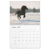 Calendrier Cheval friésien KFPS (Feb 2027)