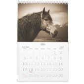Calendrier Cheval Lover pour l'esprit stable annuel (Jan 2027)