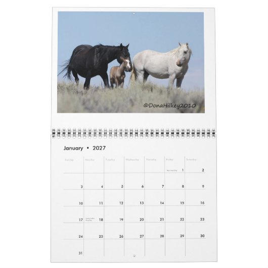 Calendrier Cheval sauvage Calander de lavabo de sable (Jan 2027)