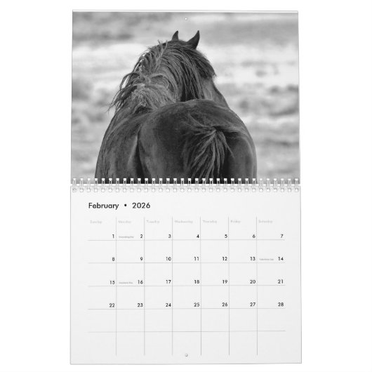 Calendrier Cheval sauvage de McCullough Peaks (Feb 2026)