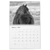 Calendrier Cheval sauvage de McCullough Peaks (Feb 2027)
