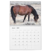 Calendrier Cheval sauvage de McCullough Peaks (Mar 2027)