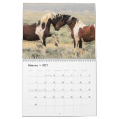 Calendrier Cheval sauvage de McCullough Peaks (Feb 2027)