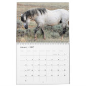 Calendrier Cheval sauvage de McCullough Peaks (Jan 2027)