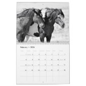 Calendrier Cheval sauvage de McCullough Peaks (Feb 2026)