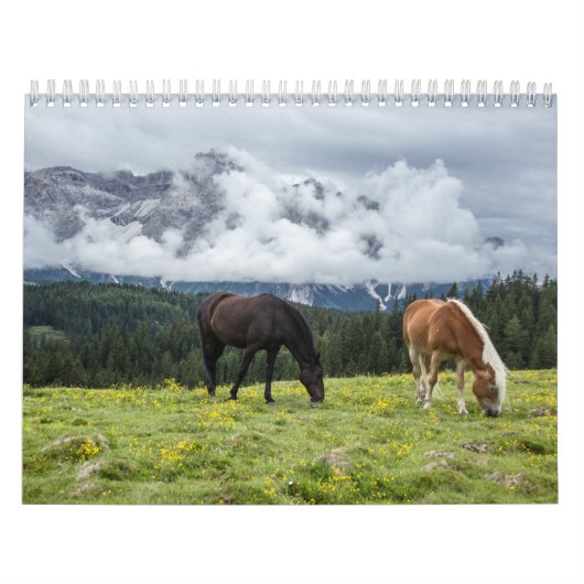 Calendrier Chevaux (Protection)