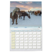 Calendrier Chevaux (Feb 2027)