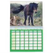 Calendrier Chevaux (Mar 2027)