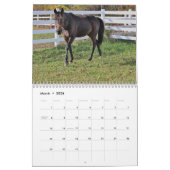 Calendrier Chevaux (Mar 2026)