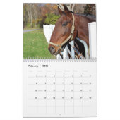 Calendrier Chevaux (Feb 2026)
