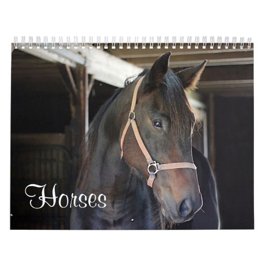 Calendrier Chevaux (Protection)