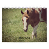 Calendrier Chevaux (Protection)