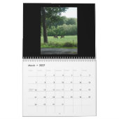 Calendrier - chevaux (Mar 2027)