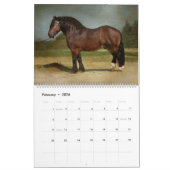 Calendrier Chevaux (Feb 2026)